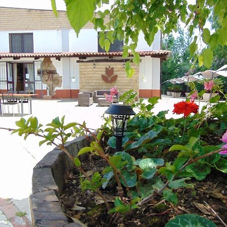 Bed and Breakfast Casale Rurale San Marco Evangelista Екстер'єр фото