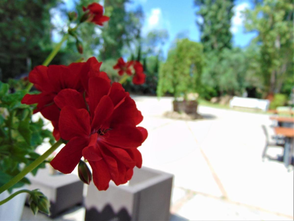 Bed and Breakfast Casale Rurale San Marco Evangelista Екстер'єр фото