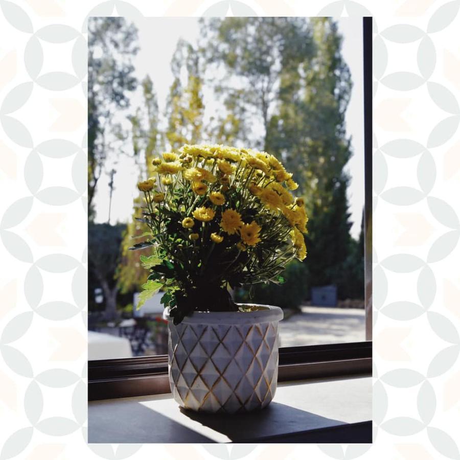 Bed and Breakfast Casale Rurale San Marco Evangelista Екстер'єр фото
