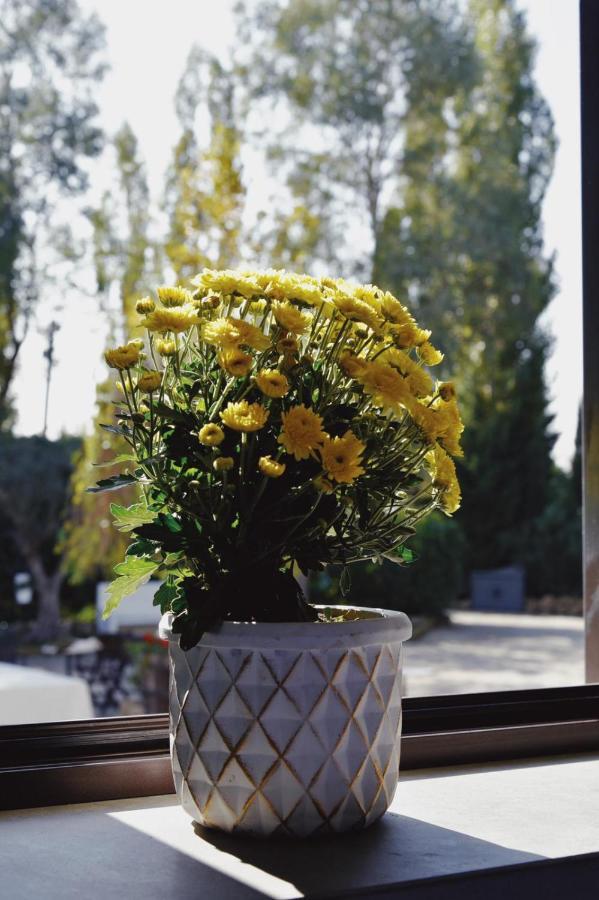 Bed and Breakfast Casale Rurale San Marco Evangelista Екстер'єр фото